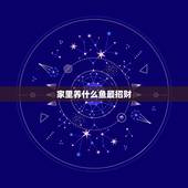 家里养什么鱼最招财，家里养什么鱼最好