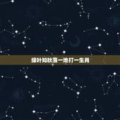 绿叶知秋落一地打一生肖，绿叶之秋落一地是什麼生肖？