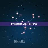 87年属兔的人哪一年行大运，1987年的兔那年才行大运
