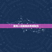 属狗人和属猴的有婚配吗，属狗和属猴的合伙做生意财运怎样