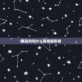 属鼠的和什么属相最配相，属鼠和什么属相最配