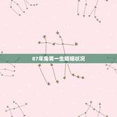 87年兔男一生婚姻状况，87年属兔男喜欢儿子女孩