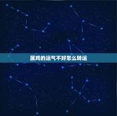 属鸡的运气不好怎么转运，属鸡每天运气