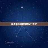 属虎男与属龙女婚配好不好，属虎可以与属龙的相配吗