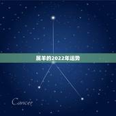 属羊的2022年运势，2022年对属羊的人好不好