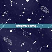 属兔相生相克的生肖，兔跟进是什么生肖