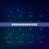 家里养金钱龟要单养还是双，为什么一个家里不能养2只乌龟？