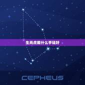 生肖虎戴什么手链好，属虎带什么手链好