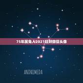 75年属兔人2021旺财微信头像，75年属兔女2021年穿什么颜色衣服
