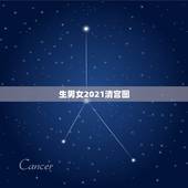 生男女2021清宫图，清宫图2021年生男生女表怎么算