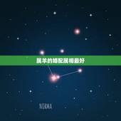 属羊的婚配属相最好，属羊的和什么属相最配