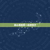 真心寻找另一半的句子，祝福找到另一半的话