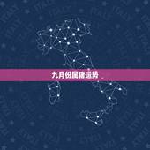九月份属猪运势，属猪09年运势