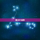 猪20l7运势，属猪人一生命运解析，属猪人2017年运势，属猪哪个月出