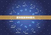 聚财型发财树图片，发财树多长时间浇一次水？