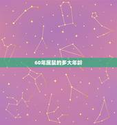 60年属鼠的多大年龄，1960年今年多大
