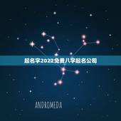 起名字2022免费八字起名公司，宝宝名字打分免费测试