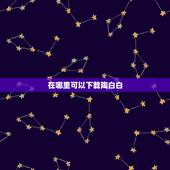 在哪里可以下载陶白白，陶白白星座分析天蝎2021下半年运势