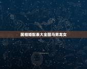 属相婚配表大全图马男龙女，属龙女和数属马男婚配吗？求解答，感激！