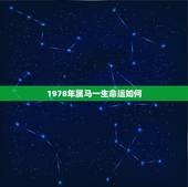 1978年属马一生命运如何，属马的人一生的命运是怎么样的