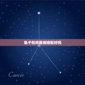 兔子和鸡属相婚配好吗，属兔的和什么属相的人结婚好