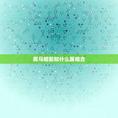 男马婚配和什么属相合，属马的和什么属相最配 属马的属相婚配表