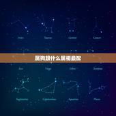 属狗跟什么属相最配，属狗和哪个属相最配