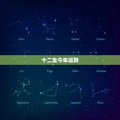 十二生今年运势，十二生肖今年的运势