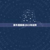 属牛魔蝎座2022年运势，2021年下半年摩羯座运势？