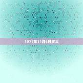 1977年11月6日多大，1977年11月6日的阴历