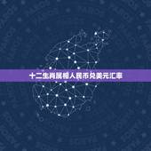 十二生肖属相人民币兑美元汇率，人民币兑美元与人民币对美元有什么区别