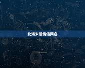 北海未暖情侣网名，这个城市不太暖 求情侣网名 好听的，不俗气的