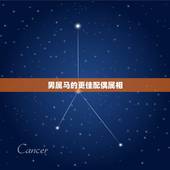 男属马的更佳配偶属相，生肖马男和什么属相最配