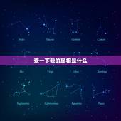 查一下我的属相是什么，我查询的生肖