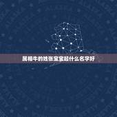 属相牛的姓张宝宝起什么名字好，取名字，