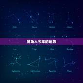 属兔人今年的运势，75年属兔的一生财运