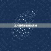 五月属鸡婚配什么属相，属鸡的和什么属相最配最合适呢？