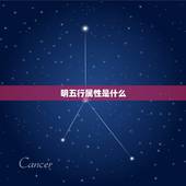 明五行属性是什么，张五行属什么