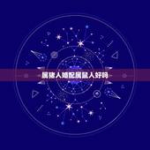 属猪人婚配属鼠人好吗，属猪与属鼠相配吗