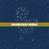 属鼠相配对象哪个属相最好，属鼠的跟什么属相结婚好？