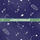 66年的马今年财运怎么样，66年属马的今天的日子好不好财运怎么样