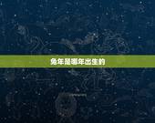 兔年是哪年出生的，兔年出生的人