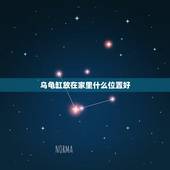 乌龟缸放在家里什么位置好，家里乌龟按风水往哪摆放