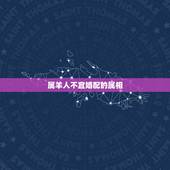 属羊人不宜婚配的属相，属羊的属相婚配表，属羊和什么属相最配