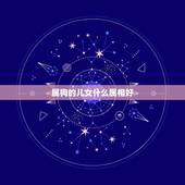 属狗的儿女什么属相好，属狗的爸妈生个什么属相的孩子好