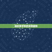 适合家中养的吉祥植物，有哪些植物在家养有很好的寓意？