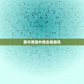 属牛男婚外情会离婚吗，属牛的人2017婚外感情能断了吗与属蛇的有婚外情