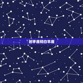 射手座能降住哪个星座(星座配对大介绍)