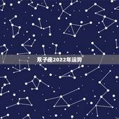 双子座2022年运势，2021年双子座全年运势