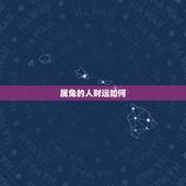 属兔的人财运如何，属兔人2022 年财运